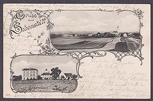 "Gruss aus Schonstätt" - Sanatorium Schonstett AK Ansichtskarte postcard