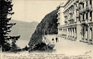Ansichtskarte / Postkarte Bürgenstock Kanton Nidwalden, Palace-Hotel