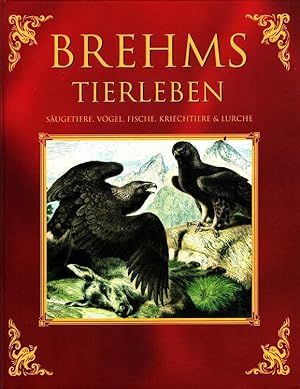 Seller image for Brehms Tierleben : Sugetiere, Vgel, Fische, Kriechtiere & Lurche for sale by Versandantiquariat Nussbaum