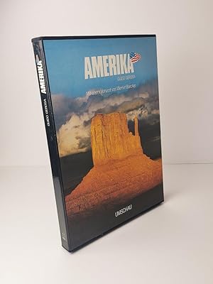 Seller image for Amerika for sale by BcherBirne