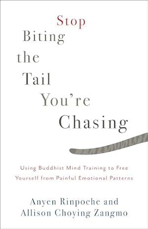 Bild des Verkufers fr Stop Biting The Tail You're Chasing: Using Buddhist Mind Training to Free Yourself from Painful Emotional Patterns zum Verkauf von WeBuyBooks