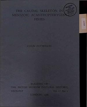 Bild des Verkufers fr The Caudal Skeleton in Mesozoic Acanthopterygian Fishes. Bulletin of The British Museum (Natural History) Geology Vol. 17, No. 2 zum Verkauf von Antiquariat Bookfarm