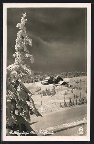 Ansichtskarte Adolfbaude, Baudenpanorama im Winterglanz