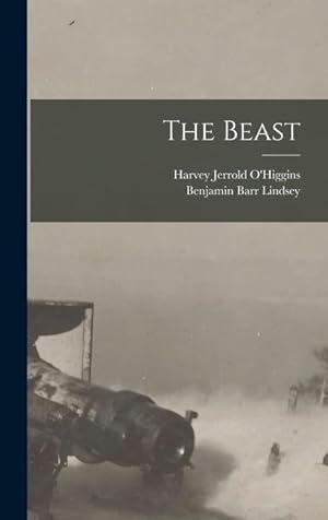 Image du vendeur pour Snyder County Annals: A Collection of all Kinds of Historical Items Affecting Snyder County From the Settlement of the First Pioneers in This Section, . Soldiers in the World War, 1917-19; Volume 1 mis en vente par moluna