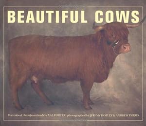 Seller image for Beautiful Cows for sale by WeBuyBooks
