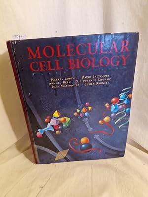Bild des Verkufers fr Molecular Cell Biology (Third Edition). zum Verkauf von Versandantiquariat Waffel-Schrder