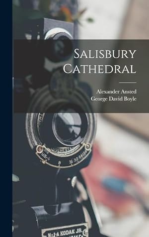 Bild des Verkufers fr Salisbury Cathedral zum Verkauf von moluna
