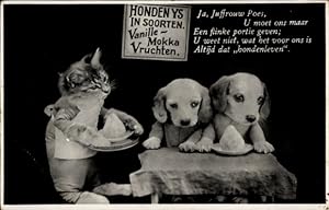 Ansichtskarte / Postkarte Hundewelpen am Tisch, vermenschlichte Katze serviert Honden Ys