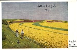 Künstler Ansichtskarte / Postkarte v. Volkmann, H., Blühende Rapsfelder
