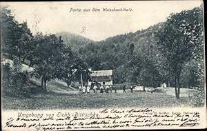 Ansichtskarte / Postkarte Veverská Bítýka Eichhorn Bittischka Südmähren, Partie aus dem Weissbac...
