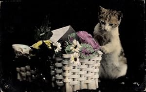 Ansichtskarte / Postkarte Katze untersucht neugierig einen Blumenkorb, NPG 683/2