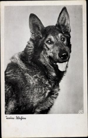 Ansichtskarte / Postkarte Treue Wächter, Schäferhund, Hundeportrait