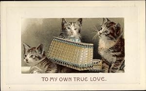 Bild des Verkufers fr Ansichtskarte / Postkarte Katze in kleiner Kiste und ihre gute Freunde zum Verkauf von akpool GmbH