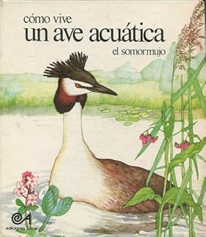 Seller image for COMO VIVE UN AVE ACUATICA. EL SOMORMUJO. for sale by Libros Ambig