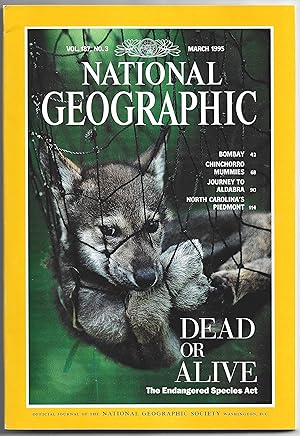 Seller image for National Geographic for sale by pginafilia