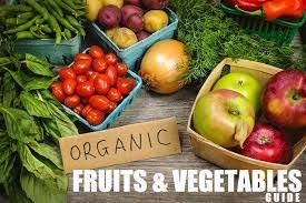 Immagine del venditore per Real Food Guide: Fresh Fruit and Vegetables v. 1 venduto da WeBuyBooks