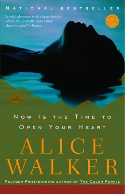 Bild des Verkufers fr Now Is the Time to Open Your Heart (Paperback or Softback) zum Verkauf von BargainBookStores