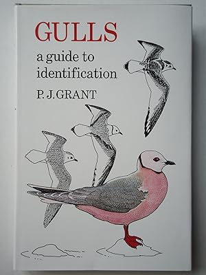 Image du vendeur pour GULLS. A Guide to Identification mis en vente par GfB, the Colchester Bookshop