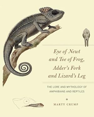 Bild des Verkufers fr Eye of Newt and Toe of Frog, Adder's Fork and Lizard's Leg : The Lore and Mythology of Amphibians and Reptiles zum Verkauf von GreatBookPrices