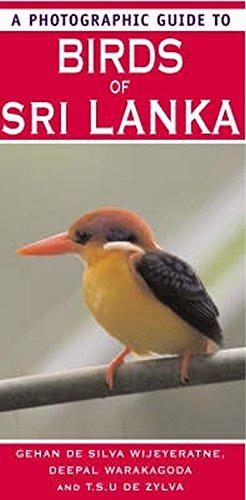 Seller image for A Photographic Guide To Birds Of Sri Lanka for sale by WeBuyBooks