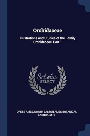 Bild des Verkufers fr Orchidaceae: Illustrations and Studies of the Family Orchidaceae, Part 1 zum Verkauf von moluna