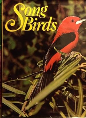 Image du vendeur pour Song Birds mis en vente par WeBuyBooks