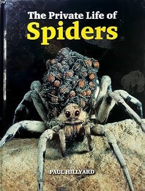 Immagine del venditore per The Private Life Of Spiders venduto da Marlowes Books and Music