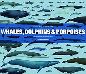 Seller image for Whales, Dolphins and Porpoises: A Natural History and Species Guide for sale by WeBuyBooks