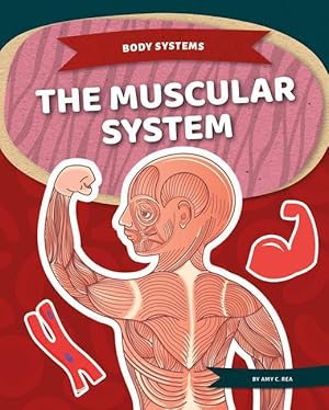 Bild des Verkufers fr The Muscular System zum Verkauf von moluna