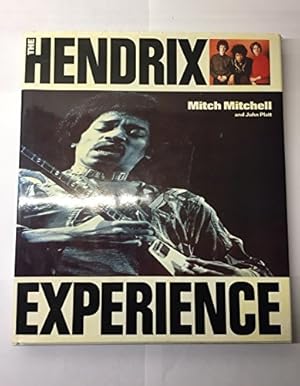 Bild des Verkufers fr The Hendrix Experience zum Verkauf von WeBuyBooks