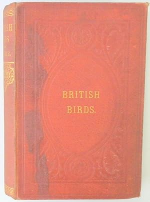 A History of British Birds: Vol VII