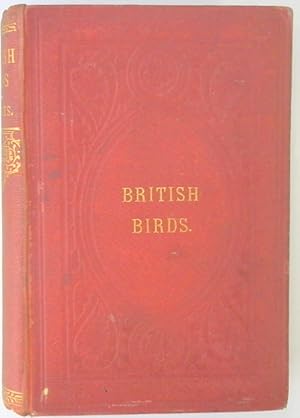 A History of British Birds: Vol VI