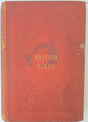 A History of British Birds: Vol IV