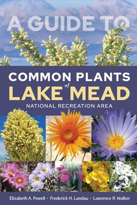 Bild des Verkufers fr A Guide to Common Plants of Lake Mead National Recreation Area zum Verkauf von moluna