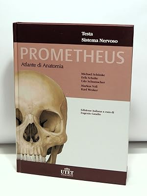 Imagen del vendedor de Prometheus Atlante di anatomia - Testa, sistema nervoso a la venta por Florentia Libri