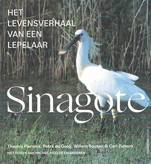 Seller image for Sinagote. Het levensverhaal van een lepelaar for sale by Bij tij en ontij ...