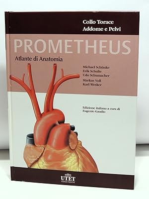 Prometheus Atlante di Anatomia - Collo, Torace, Addome e Pelvi