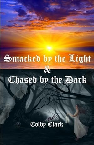Image du vendeur pour Smacked by the Light & Chased by the Dark: The Almost True Story of Draco Jade (The Jade Family Saga) mis en vente par moluna