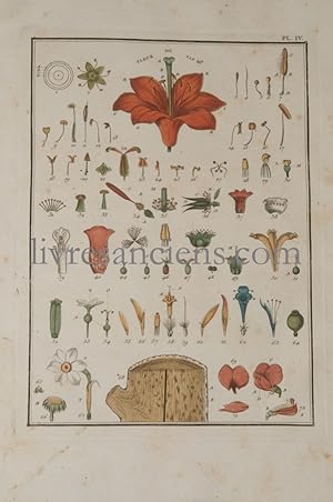 Dictionnaire élémentaire de botanique, ou Exposition par ordre alphabétique, des préceptes de la ...