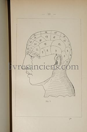 Imagen del vendedor de Katechismus der Kopfformenkunde das ist der Lehre von der Lokalisation der geistgen Fhigkeiten des Menschen im Gehirne a la venta por Eric Zink Livres anciens