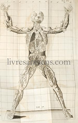 Imagen del vendedor de Exposition anatomique de la structure du corps humain a la venta por Eric Zink Livres anciens