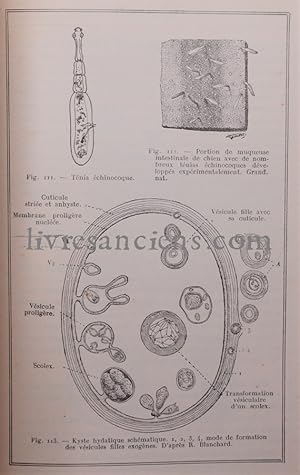 Seller image for Travaux pratiques de parasitologie for sale by Eric Zink Livres anciens