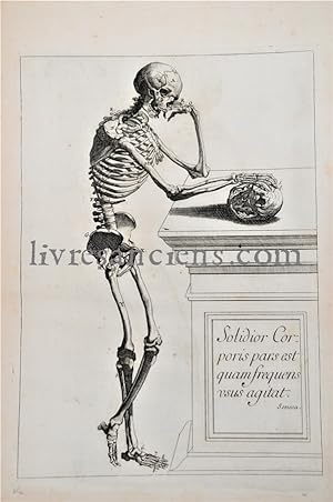 Seller image for Abrg d'anatomie accommod aux arts de peinture et de sculpture for sale by Eric Zink Livres anciens