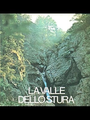Bild des Verkufers fr La valle dello stura zum Verkauf von Librodifaccia