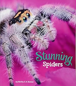 Immagine del venditore per Marvellous Minibeasts!: Stunning Spiders venduto da WeBuyBooks