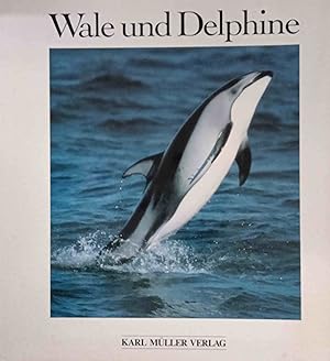 Seller image for Wale und Delphine. Aus dem Amerikan. bers. von Siegfried Schmitz. for sale by Logo Books Buch-Antiquariat