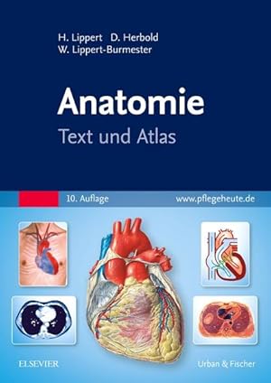 Seller image for Anatomie Text und Atlas for sale by Bunt Buchhandlung GmbH