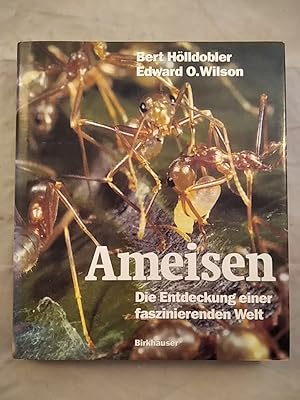 Ameisen - Die Entdeckung einer faszinierenden Welt.