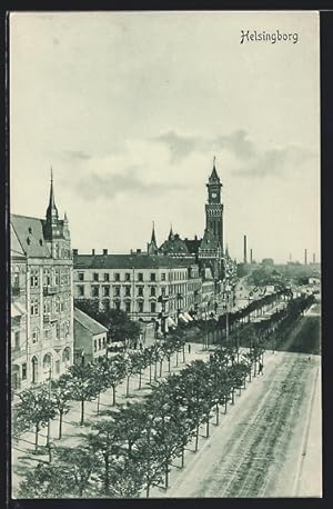 Ansichtskarte Helsingborg, Strassenpartie am Rathaus