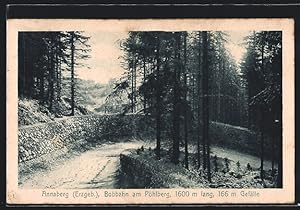 Ansichtskarte Annaberg / Erzg., Bobbahn am Pöhlberg, 1600 m lang, 166 m Gefälle